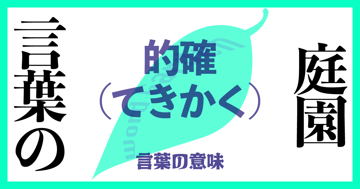 「的確（てきかく）」の意味とは？ 使い方まで徹底解説！