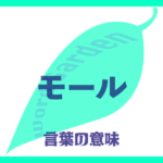 モールの意味とは？ 使い方まで徹底解説！