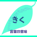 「きく」の意味とは？ 使い方まで徹底解説！