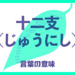 十二支（じゅうにし）の意味とは？ 使い方まで徹底解説！