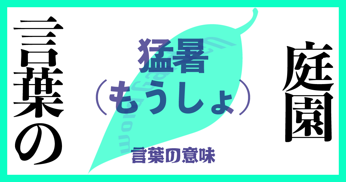 猛暑（もうしょ）の意味とは？ 使い方まで徹底解説！