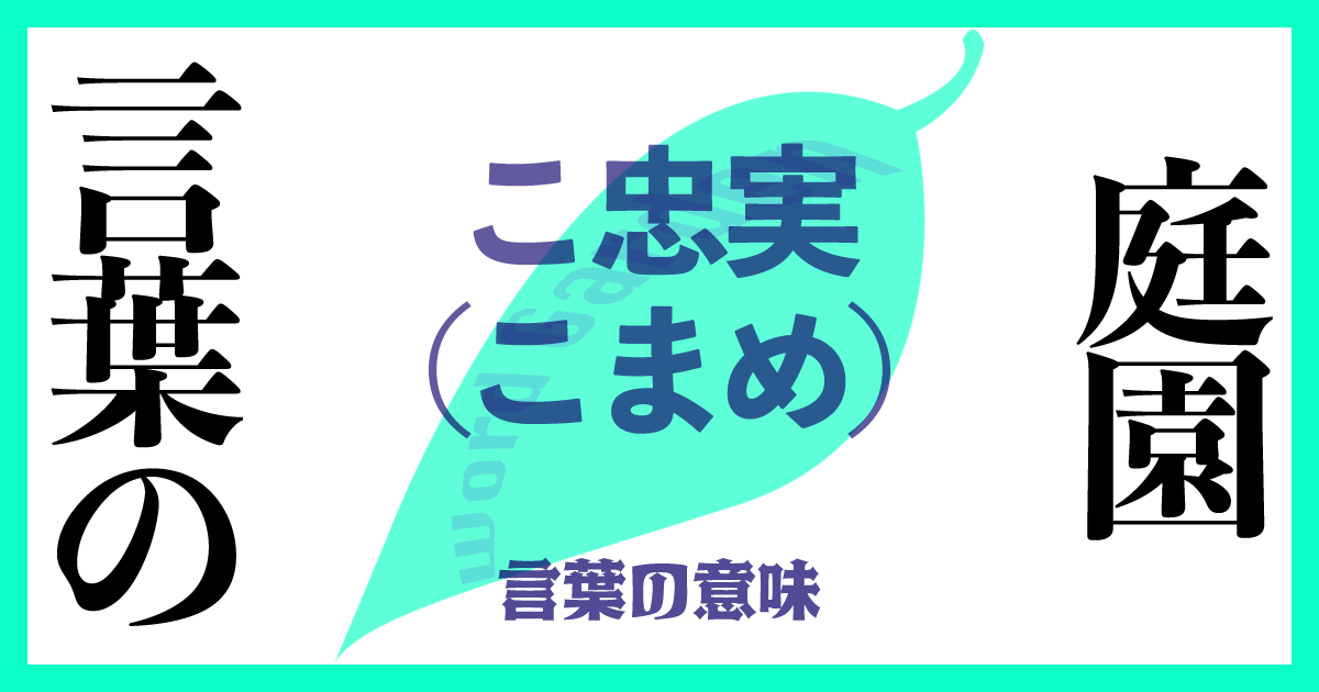小忠実（こまめ）の意味とは？使い方まで徹底解説！