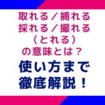 取れる／捕れる／採れる／撮れる（とれる）の意味とは？使い方まで徹底解説！