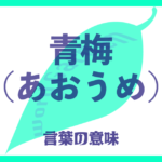 青梅（あおうめ）の意味とは？使い方まで徹底解説！