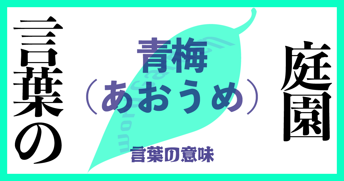 青梅（あおうめ）の意味とは？使い方まで徹底解説！
